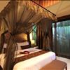 One Bedroom Griya Bulan Madu